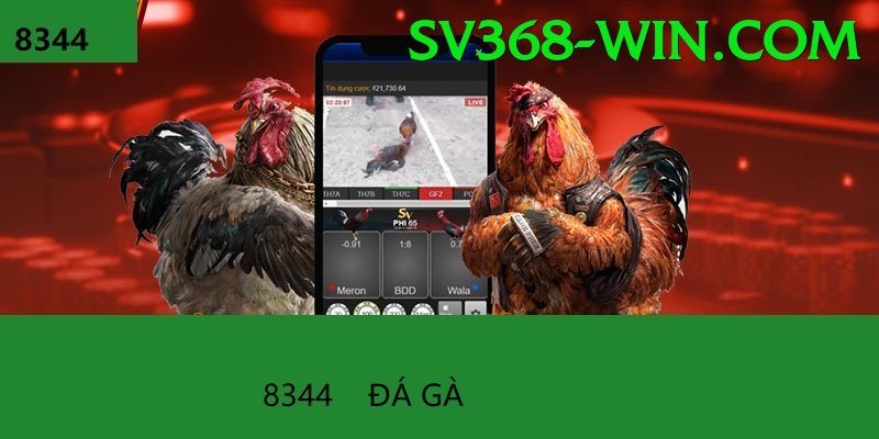 Đá Gà Trực Tiếp - sv368